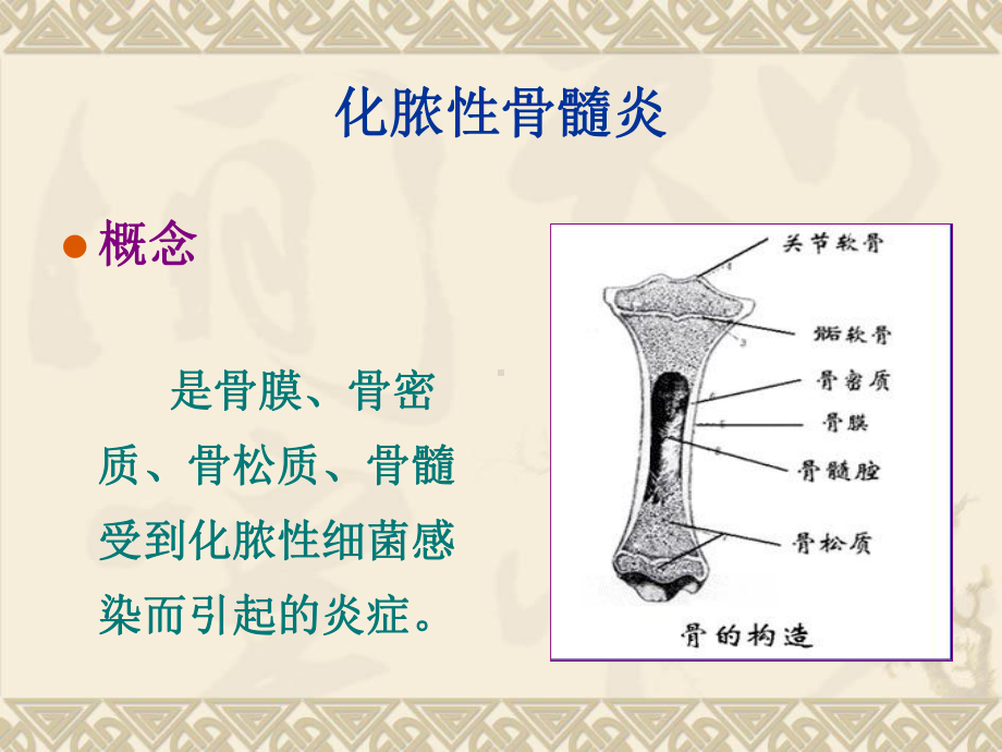 医学课件-骨与关节感染病人的护理教学课件.ppt_第3页