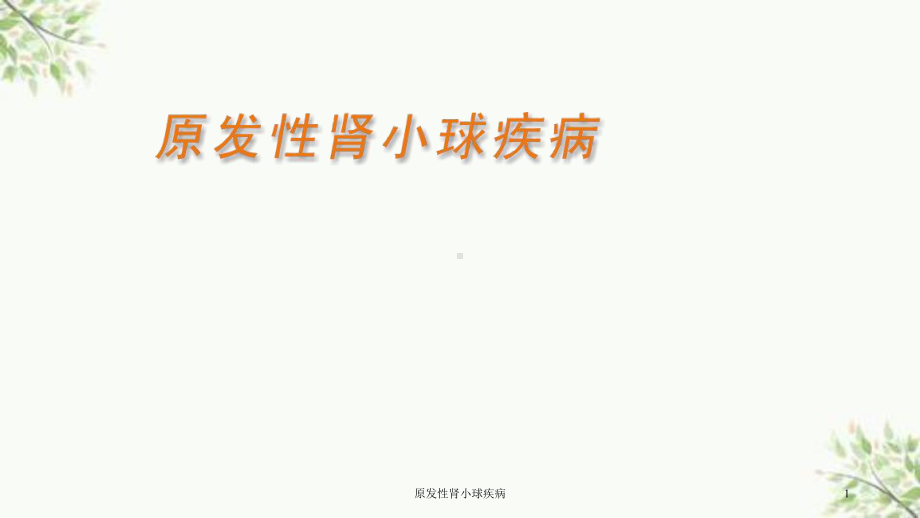 原发性肾小球疾病课件.ppt_第1页