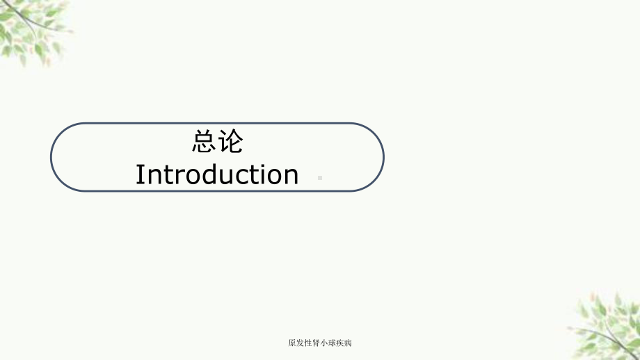 原发性肾小球疾病课件.ppt_第2页