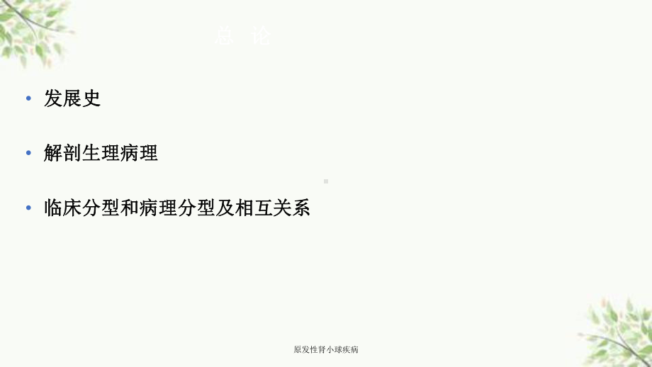 原发性肾小球疾病课件.ppt_第3页