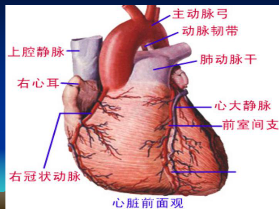 妊娠合并法洛氏四联征培训课件.ppt_第3页