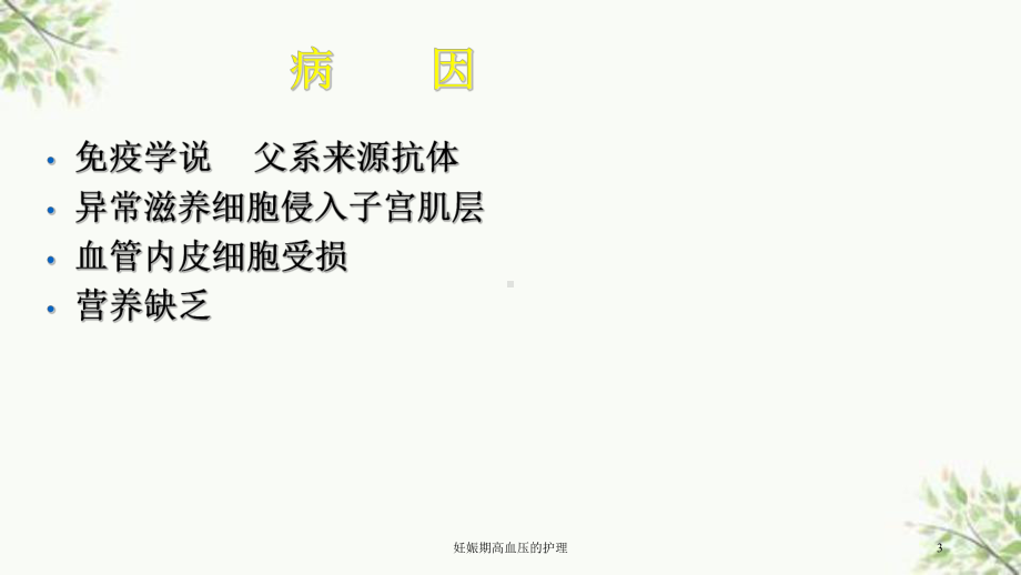 妊娠期高血压的护理课件.ppt_第3页