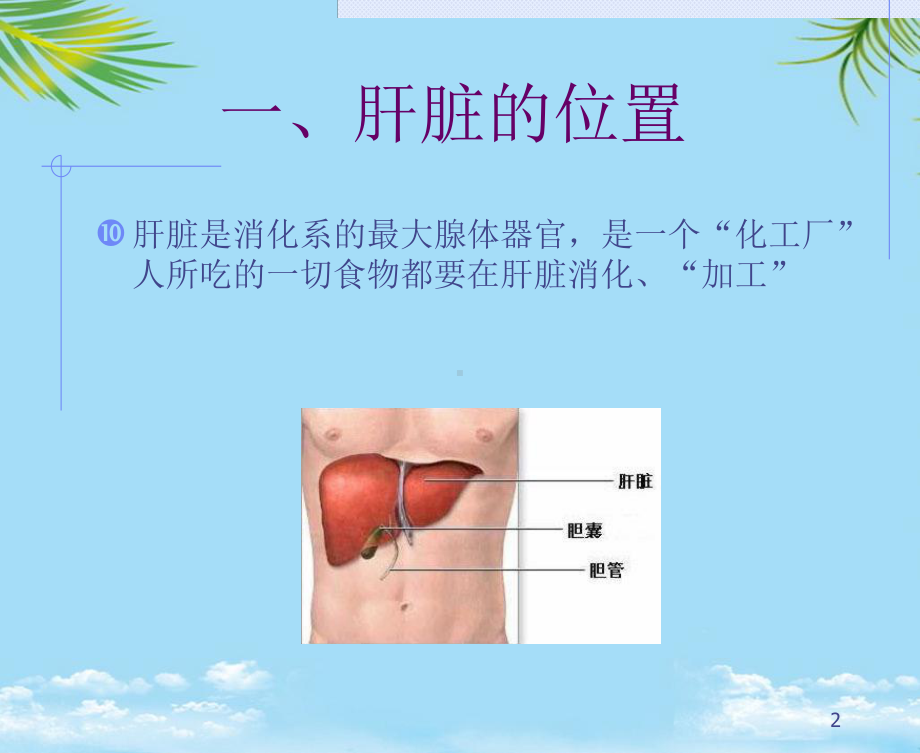 乙肝知识讲座课件.ppt_第2页