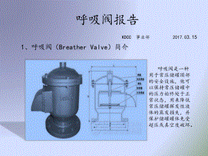 呼吸阀报告1解析课件.pptx