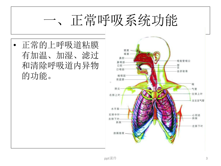 危重患者的气道护理-课件.ppt_第3页