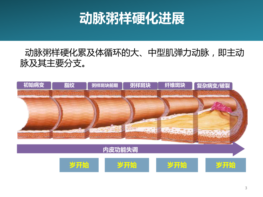 冠心病上心血管疾病课件.pptx_第3页