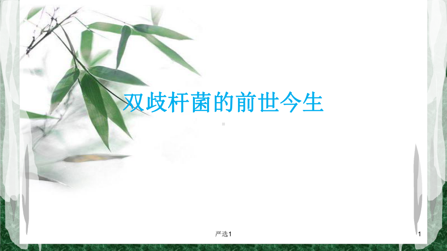 双歧杆菌的前世今生课件.pptx_第1页