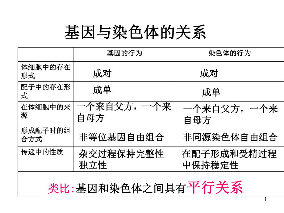 基因与染色体的关系课件.ppt_第1页