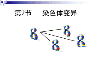 人教版必修二-染色体变异-课件-(36张).ppt