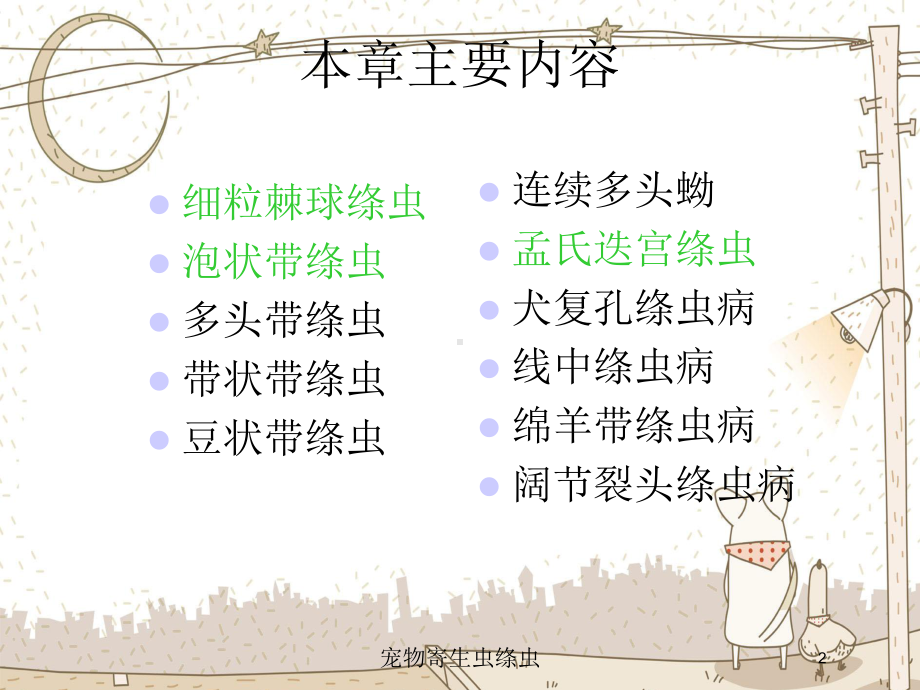 宠物寄生虫绦虫培训课件.ppt_第2页