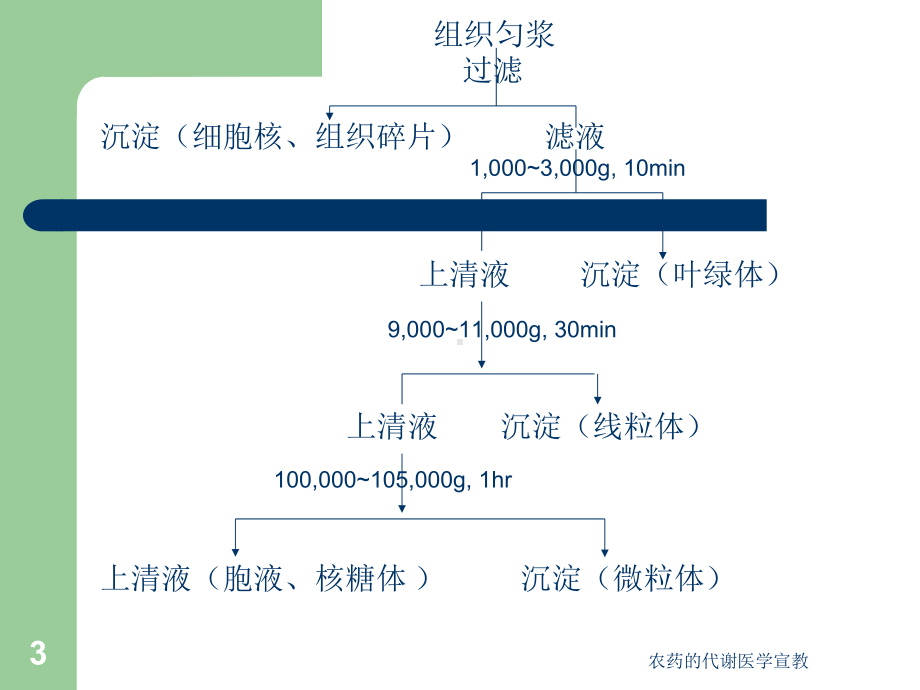 农药的代谢医学宣教培训课件.ppt_第3页