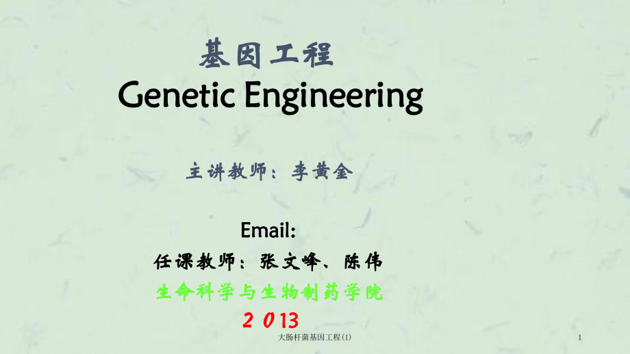 大肠杆菌基因工程课件1.ppt_第1页