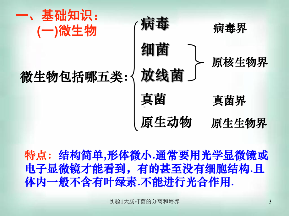 实验1大肠杆菌的分离和培养课件.ppt_第3页