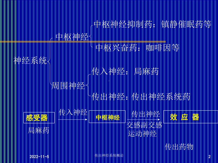 传出神经系统概论培训课件.ppt_第2页