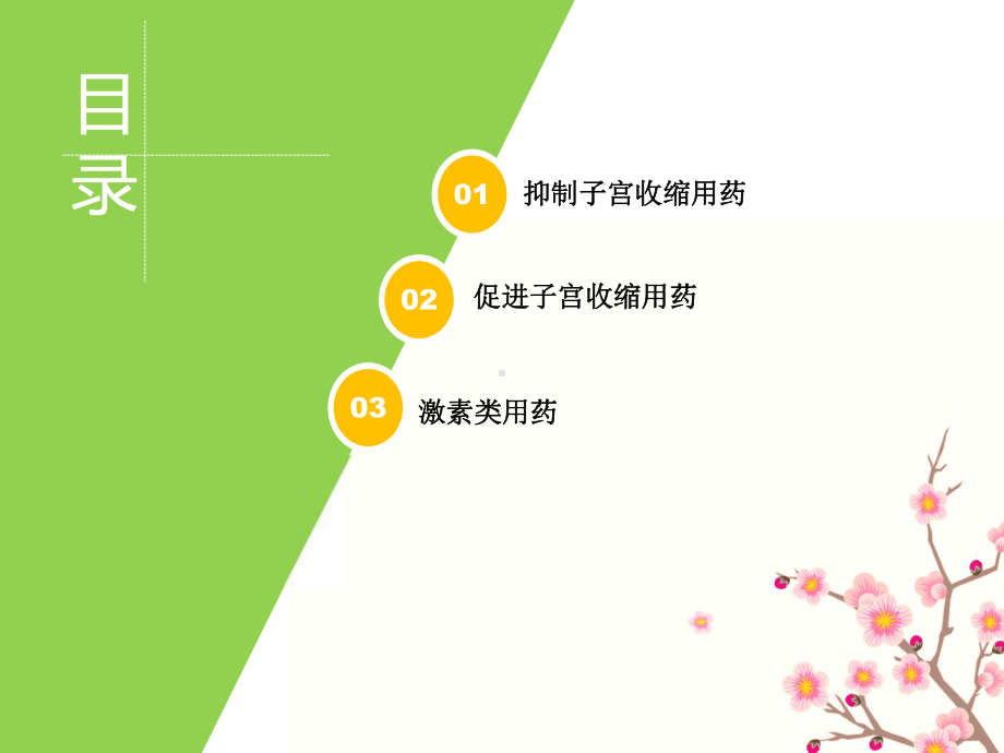 医学妇科常用专科用药专题培训课件.ppt_第2页