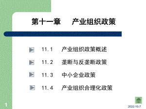 产业组织政策概论课件.ppt