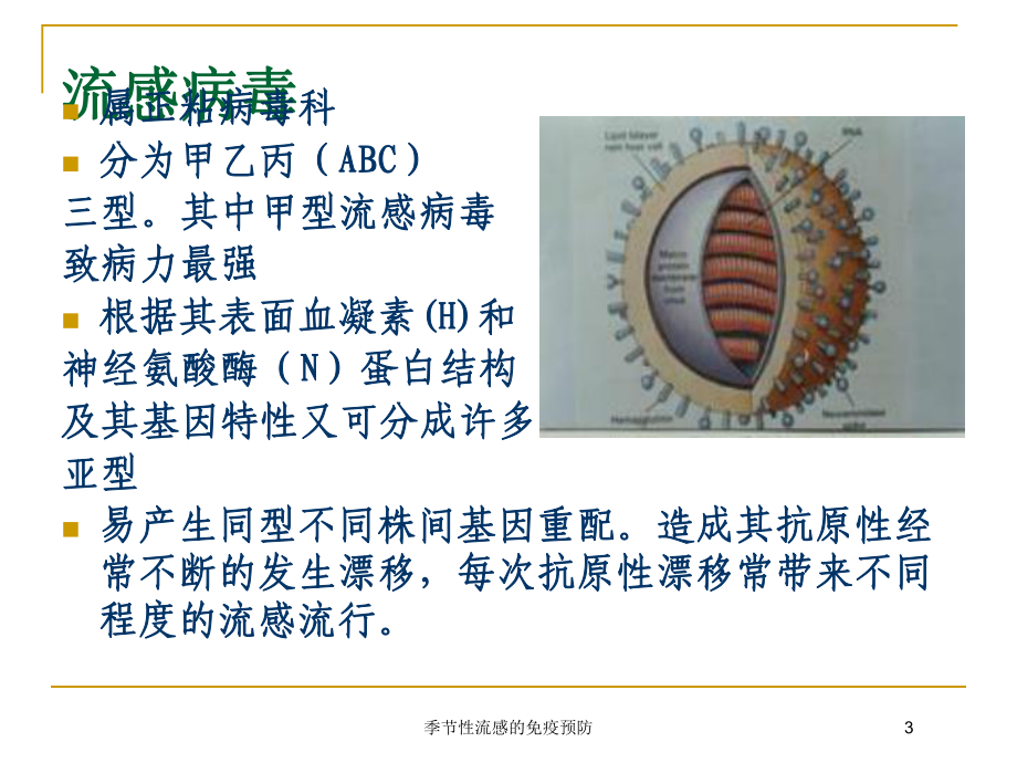 季节性流感的免疫预防培训课件.ppt_第3页