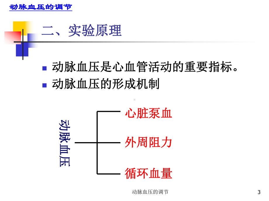 动脉血压的调节课件.ppt_第3页