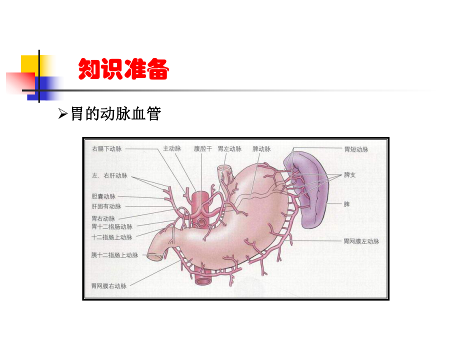 医学课件胃肠外科常见手术术式.ppt_第3页