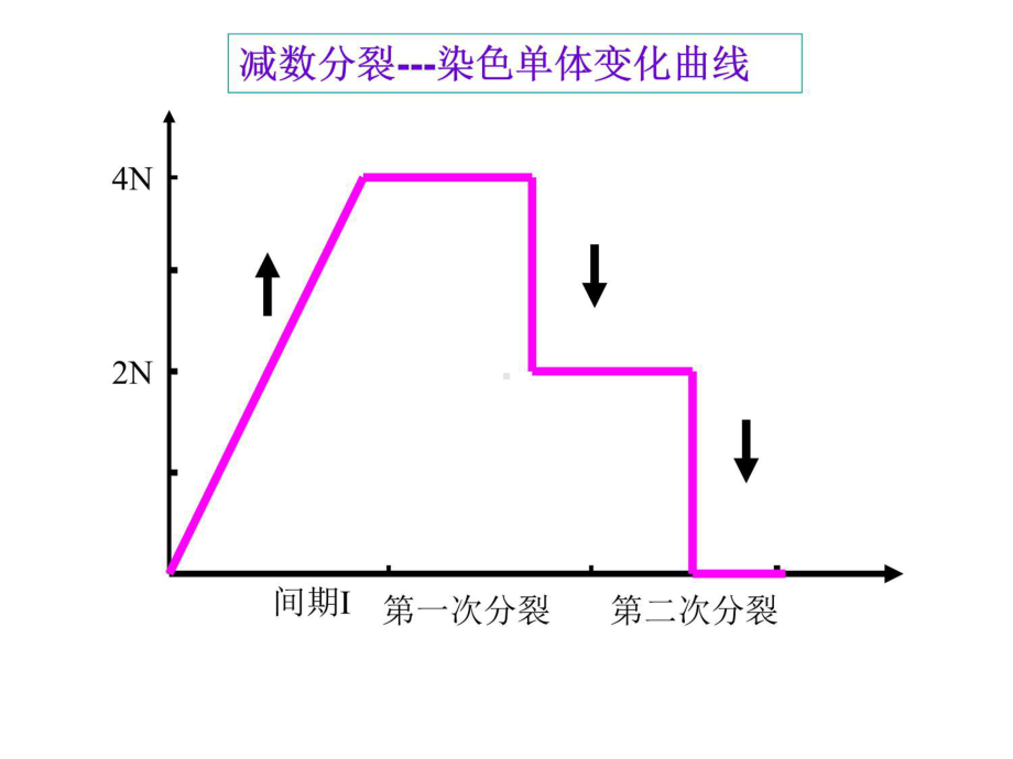 基因和染色体的关系-练习-课件.ppt_第3页