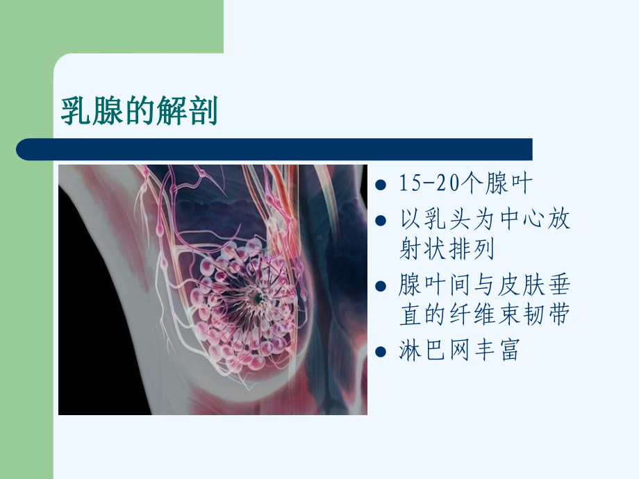 乳腺疾病病人护理(副本)课件.ppt_第2页