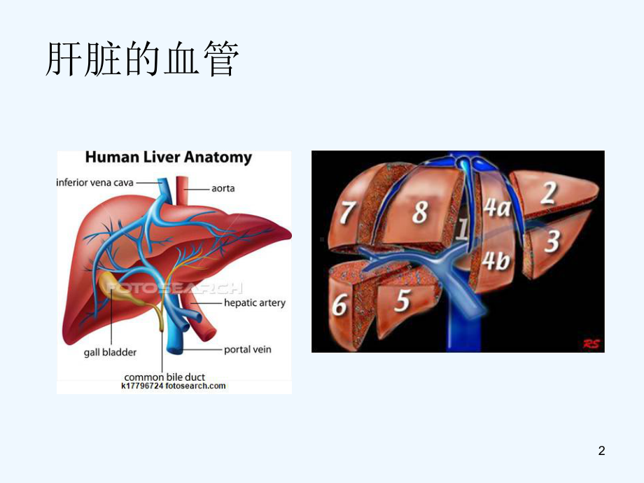 内科(肝硬化课件.ppt_第2页