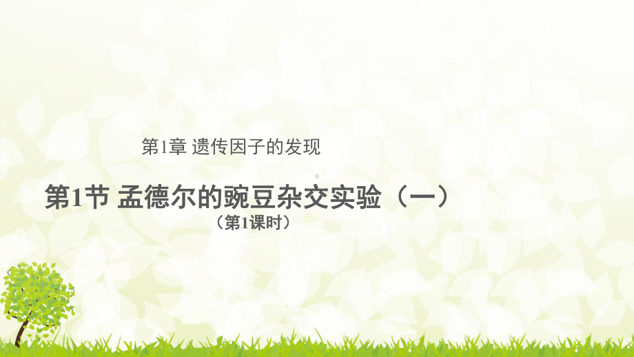 人教版生物必修二孟德尔的豌豆杂交实验一示范教学课件.pptx_第1页