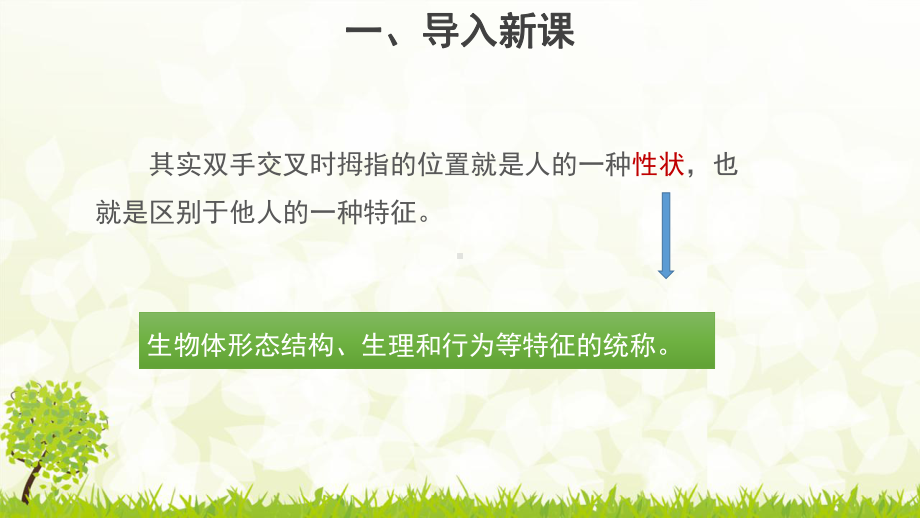 人教版生物必修二孟德尔的豌豆杂交实验一示范教学课件.pptx_第3页