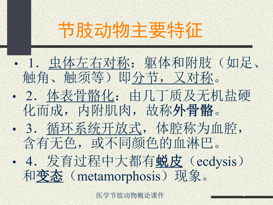 医学节肢动物概论课件培训课件.ppt_第3页