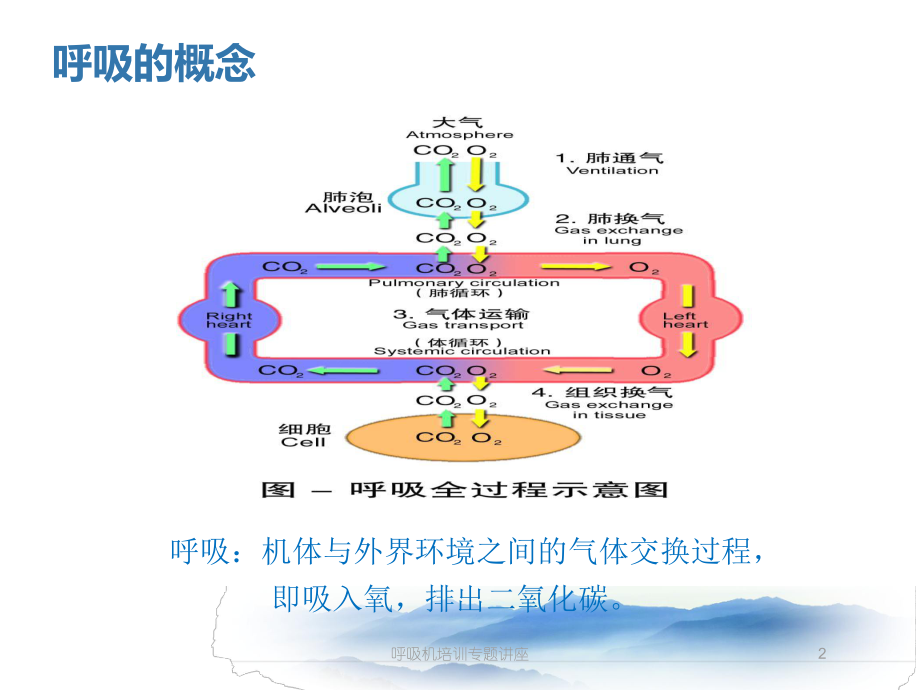 呼吸机培训专题讲座培训课件.ppt_第2页