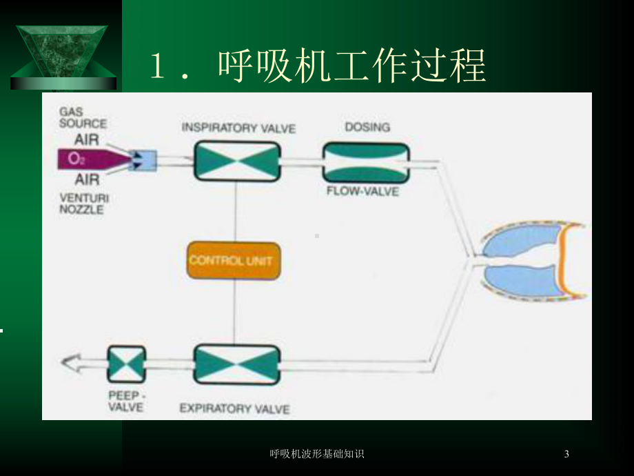 呼吸机波形基础知识培训课件.ppt_第3页