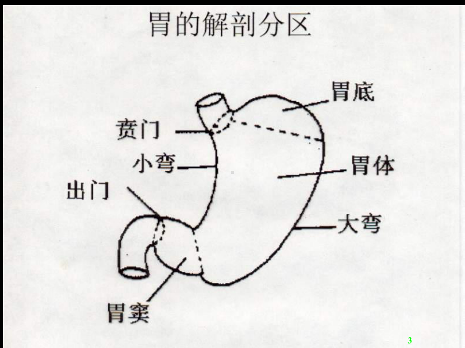 医学超级全胃十二指肠疾病课件.ppt_第3页