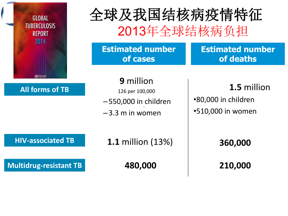 公共卫生项目培训结核病课件.ppt_第3页