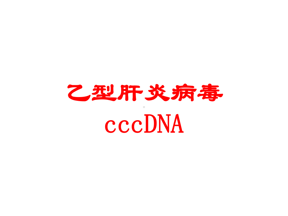 乙型肝炎病毒cccDNA培训课件.ppt_第1页