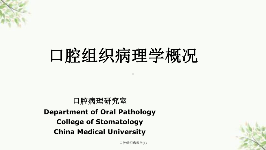 口腔组织病理学课件1.ppt_第1页