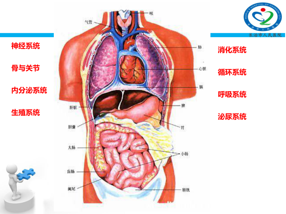 危重病人病情观察与抢救护理课件.ppt_第3页