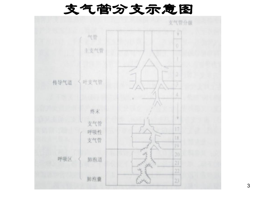 呼吸衰竭临床诊治课件.ppt_第3页