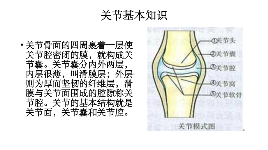 关节脱位病人的护理课件-2.ppt_第3页