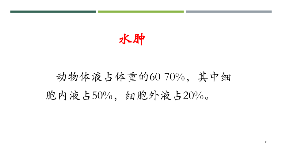 动物病理水肿课件-2.pptx_第2页