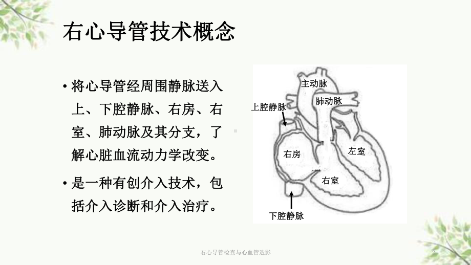 右心导管检查与心血管造影课件.ppt_第2页