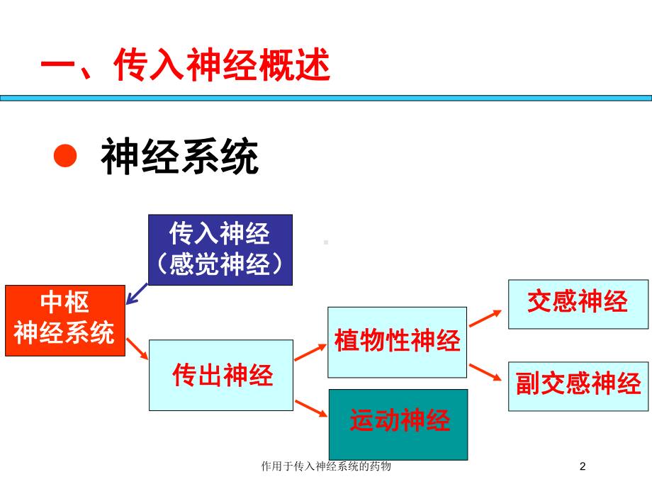 作用于传入神经系统的药物培训课件.ppt_第2页