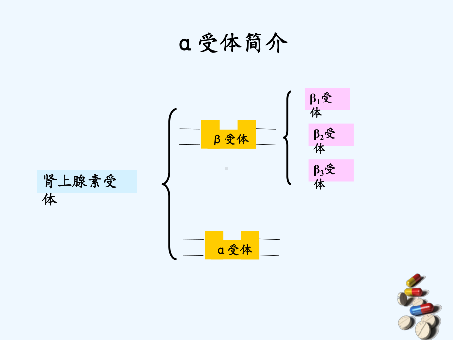 受体阻断药及血管扩张药在抗高血压中应用课件.ppt_第3页