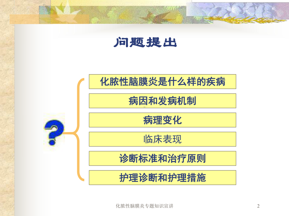 化脓性脑膜炎专题知识宣讲培训课件.ppt_第2页