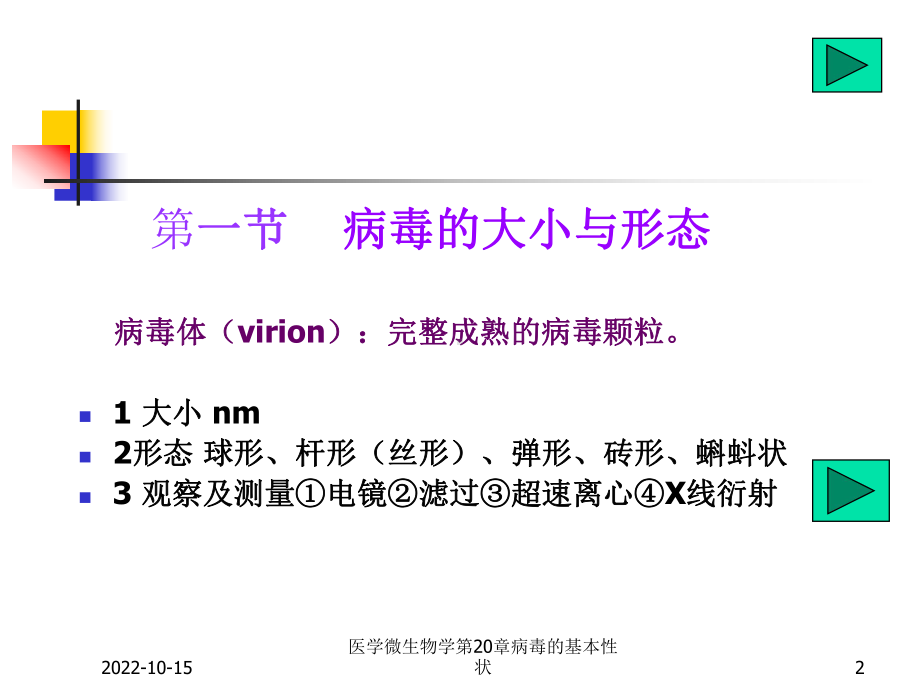 医学微生物学第20章病毒的基本性状课件.ppt_第2页