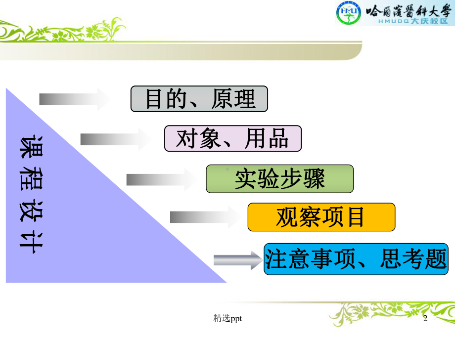 人体动脉血压的测量课件.ppt_第2页