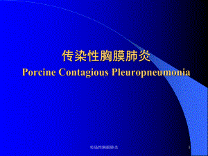 传染性胸膜肺炎课件.ppt