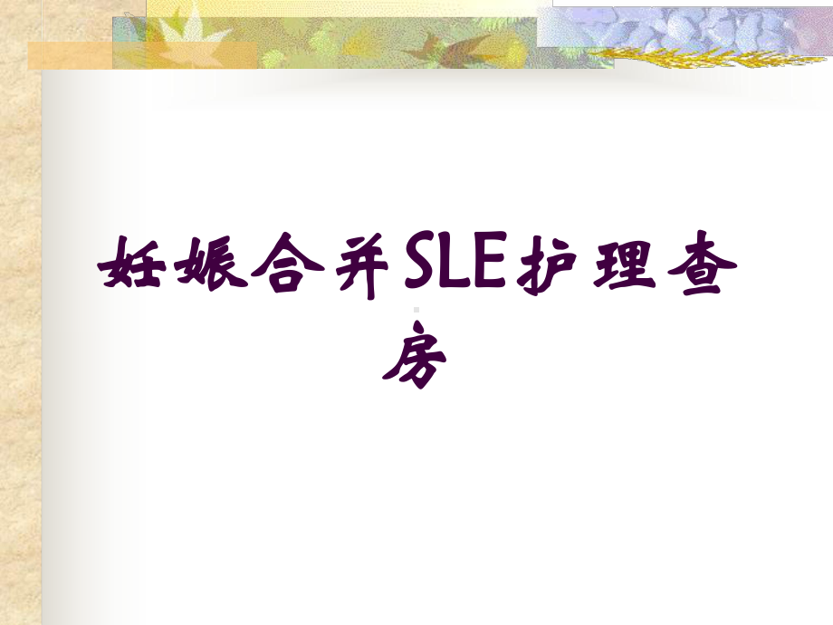 妊娠合并SLE护理查房培训课件.ppt_第1页