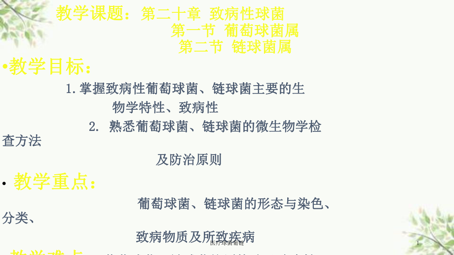 医疗球菌葡链课件.ppt_第1页