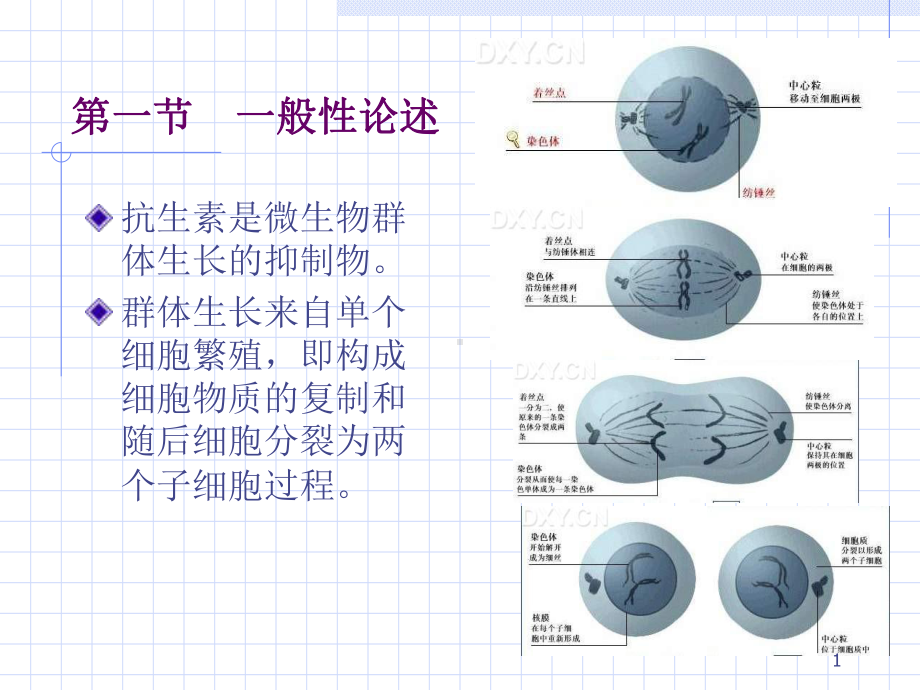 医学课件抗生素的作用机制.ppt_第1页