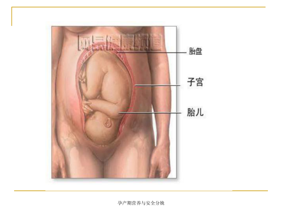 孕产期营养与安全分娩课件.ppt_第3页